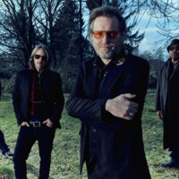 STOPPOK mit BAND - Jubel (2020)