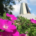 Im Sommer Foto von Uwe Wolf